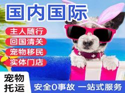 德宏航空托运国际宠物托运 【国